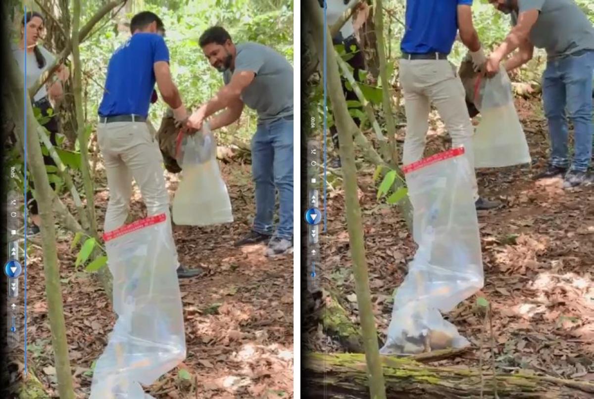 Trabalhadores encontram ossada perto de parque no interior de MT