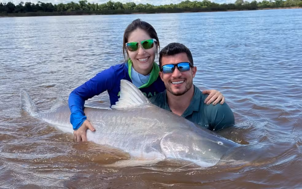 No Rio Araguaia, turistas pescam peixe gigante que não pode ser consumido pela terceira vez: ‘É um troféu’