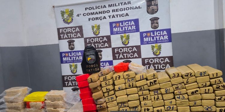 Força Tática apreende 141 quilos de drogas e causa prejuízo de R$ 2,5 milhões às facções criminosas