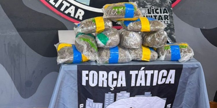 Força Tática apreende mais de 5 quilos de maconha em ônibus na BR-070, em General Carneiro