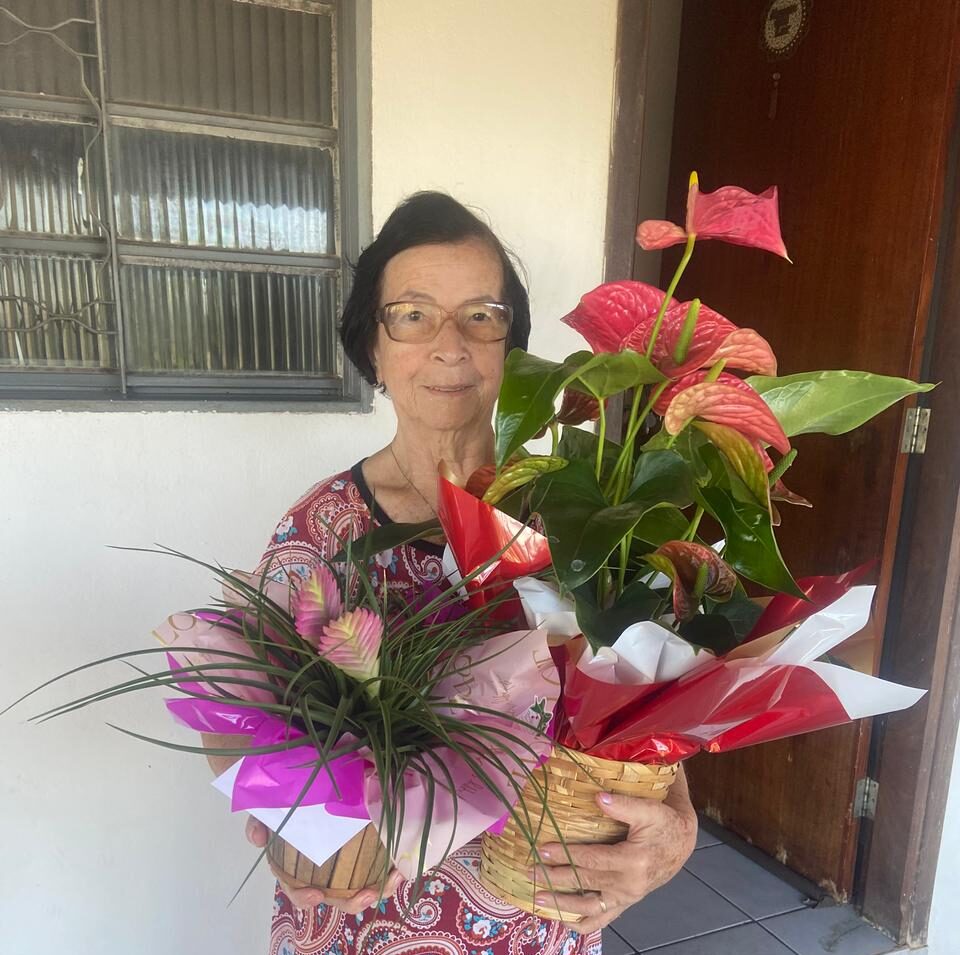 Veja vídeo – Família divulga imagens e pede apuração completa sobre atropelamento que matou idosa de 82 anos em Barra do Garças