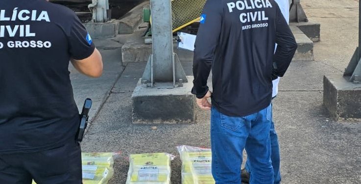 Polícia Civil incinera cerca de 109 quilos maconha apreendidos em Alto Araguaia e região