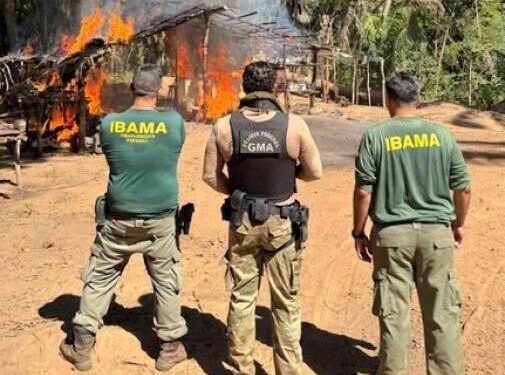 PF e Ibama realizam fiscalização em área de Reserva Legal da União em General Carneiro