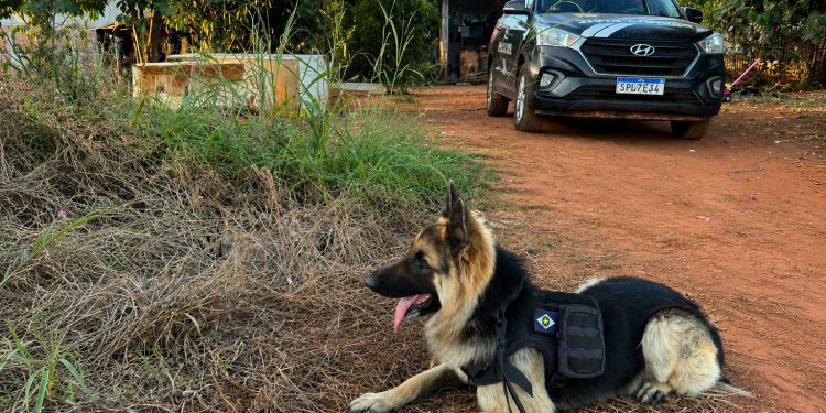 Polícia Civil deflagrou operação contra investigados por homicídio ligado a facção em Tabaporã