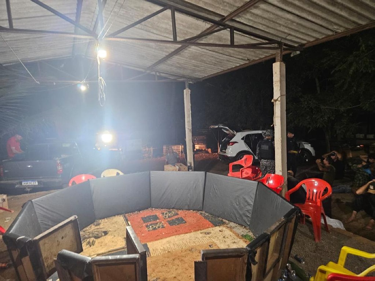 Polícia flagra rinha de galos e encaminha 17 suspeitos a delegacia de Canarana